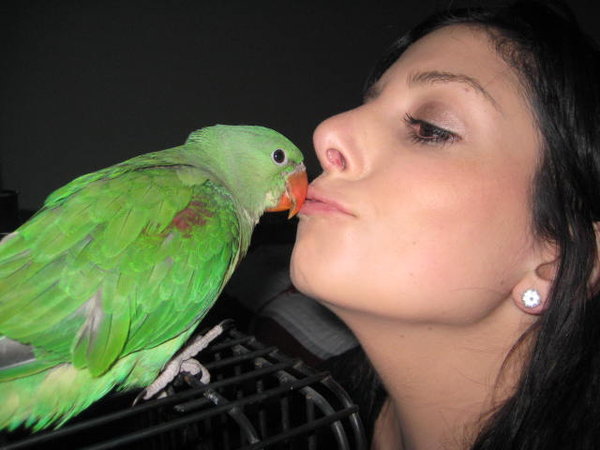 This is my new baby Charlie, he is currently 10 weeks old.