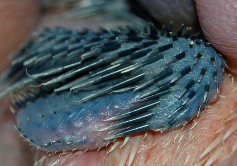 guess what colour.jpg