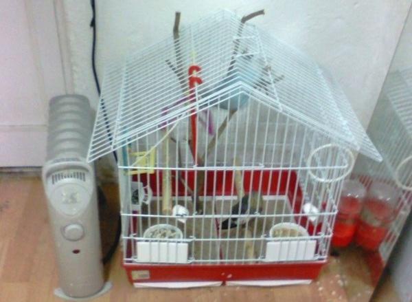 the cage :p