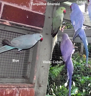 DSCF2566-002.JPG