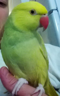 WP_20130710_006.jpg