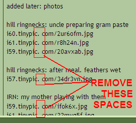untitled.PNG