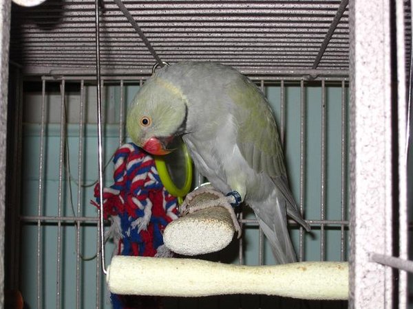 IMG_0681.JPG