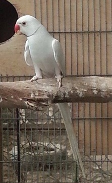 10384655_10203394746566138_3678471972721348000_n (1).jpg