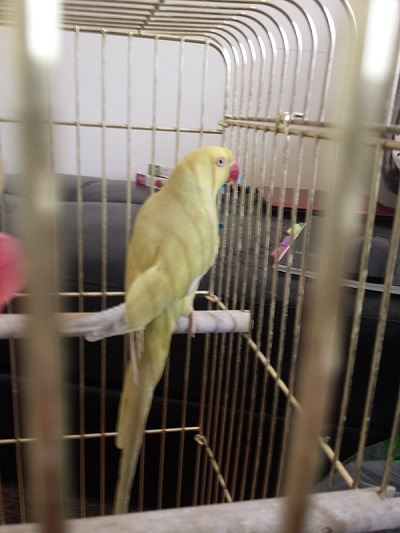 20140827_164326.jpg