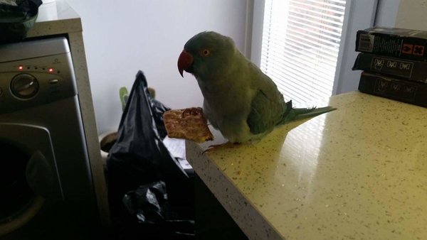 received_10157116837150374.jpeg