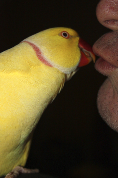 Kisses for Dad