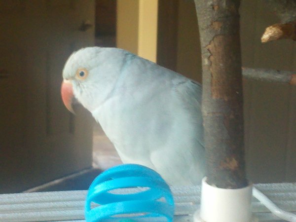 IMG_20110813_181101.jpg