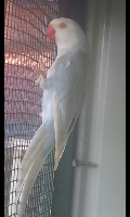 Screenshot_2013-08-27-23-04-47_resized.png