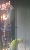 Screenshot_2013-08-27-23-08-42_resized.png