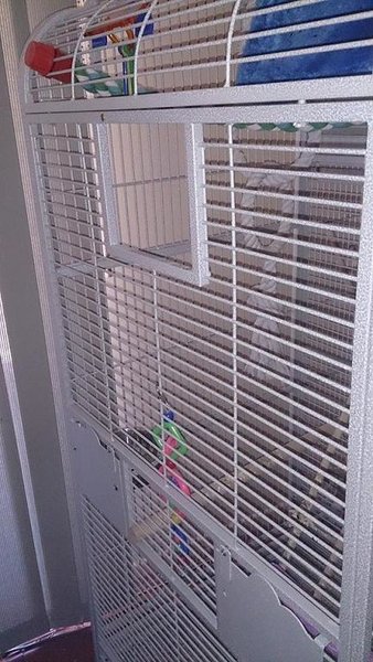 cage.jpg (78.85 KiB) Viewed 4427 times The area to mount