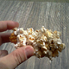 popcorn on the cob2.PNG